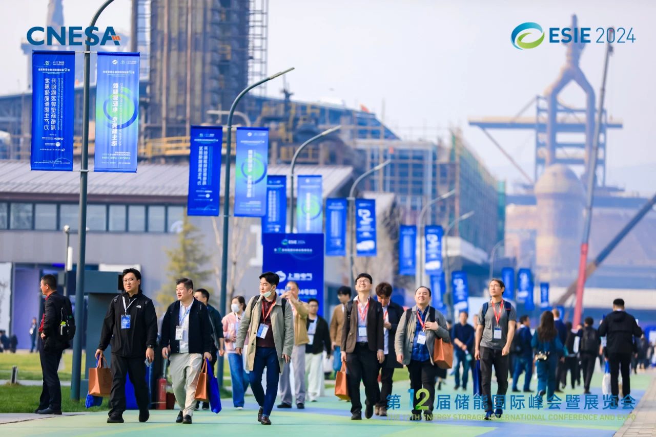 1713257832678473.jpg 3.jpg