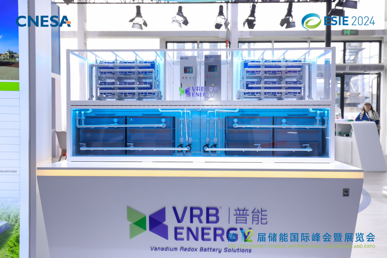 1713257980205738.jpg 11.jpg