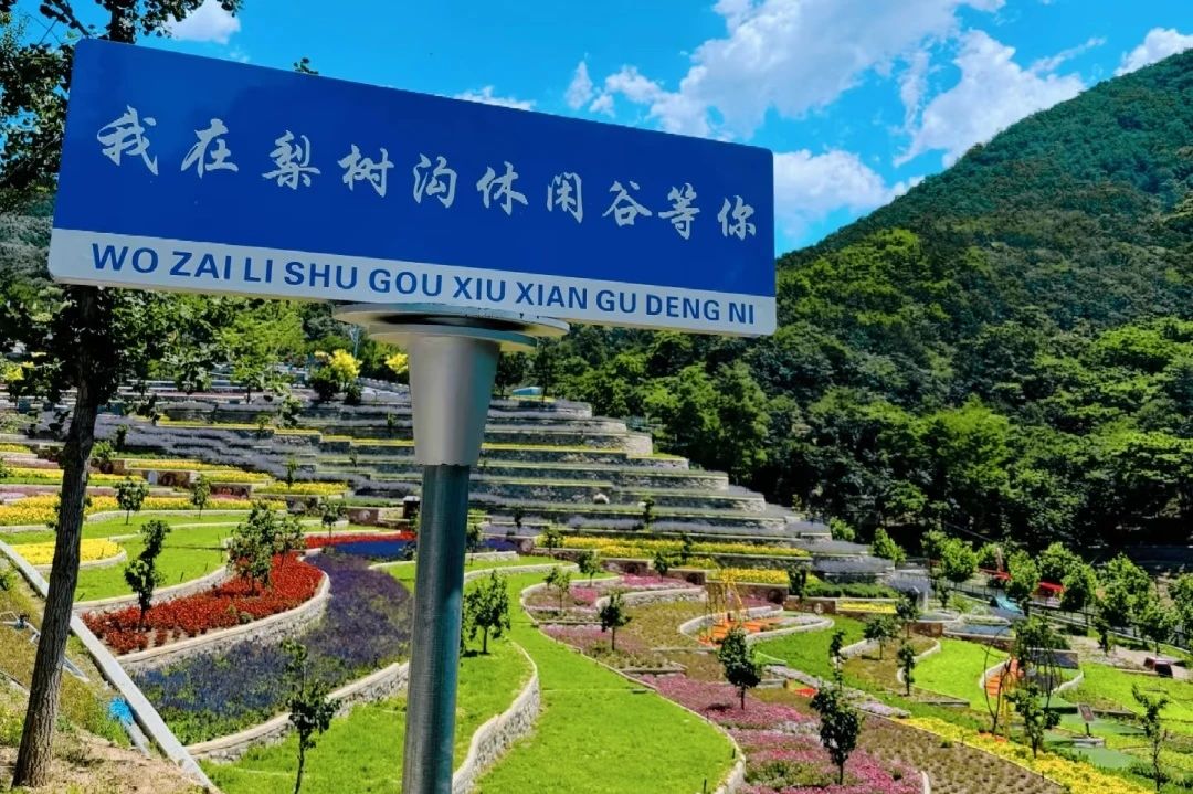 1747645689483487.jpg 31.jpg